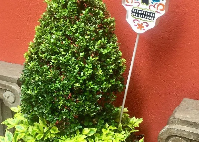 Bed and breakfast Trojes Cdmx México DF