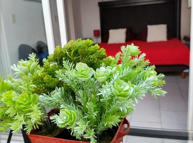 Trojes Cdmx México DF